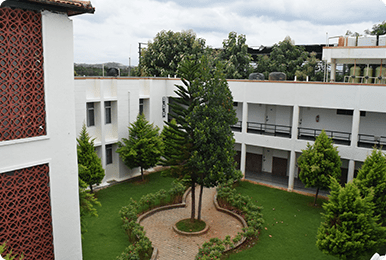 sports academy university